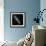 Andromeda Galaxy, UV Image-null-Framed Premium Photographic Print displayed on a wall