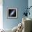 Andromeda Galaxy-Stocktrek Images-Framed Photographic Print displayed on a wall