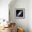 Andromeda Galaxy-Stocktrek Images-Framed Photographic Print displayed on a wall