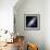 Andromeda Galaxy-Stocktrek Images-Framed Photographic Print displayed on a wall