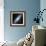 Andromeda Galaxy-Stocktrek Images-Framed Photographic Print displayed on a wall