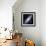 Andromeda Galaxy-Stocktrek Images-Framed Photographic Print displayed on a wall