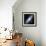 Andromeda Galaxy-Stocktrek Images-Framed Photographic Print displayed on a wall