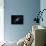 Andromeda Galaxy-Stocktrek Images-Framed Premier Image Canvas displayed on a wall