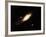 Andromeda Galaxy-Stocktrek-Framed Premium Photographic Print