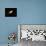 Andromeda Galaxy-Stocktrek-Photographic Print displayed on a wall