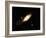 Andromeda Galaxy-Stocktrek-Framed Photographic Print