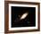 Andromeda Galaxy-Stocktrek-Framed Photographic Print