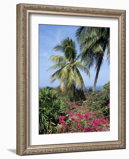 Andromeda Gardens, Near Bathsheba, Barbados, West Indies, Caribbean, Central America-Hans Peter Merten-Framed Photographic Print