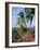 Andromeda Gardens, Near Bathsheba, Barbados, West Indies, Caribbean, Central America-Hans Peter Merten-Framed Photographic Print