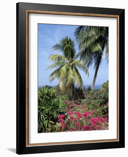 Andromeda Gardens, Near Bathsheba, Barbados, West Indies, Caribbean, Central America-Hans Peter Merten-Framed Photographic Print