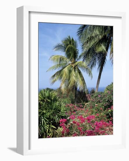 Andromeda Gardens, Near Bathsheba, Barbados, West Indies, Caribbean, Central America-Hans Peter Merten-Framed Photographic Print