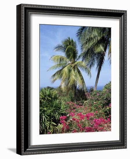 Andromeda Gardens, Near Bathsheba, Barbados, West Indies, Caribbean, Central America-Hans Peter Merten-Framed Photographic Print