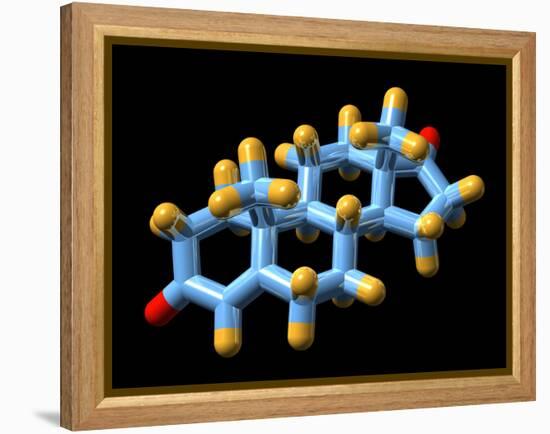 Androstenedione Hormone, Molecular Model-Dr. Mark J.-Framed Premier Image Canvas