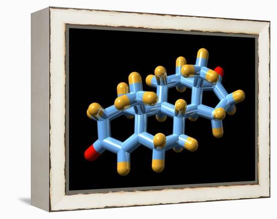 Androstenedione Hormone, Molecular Model-Dr. Mark J.-Framed Premier Image Canvas