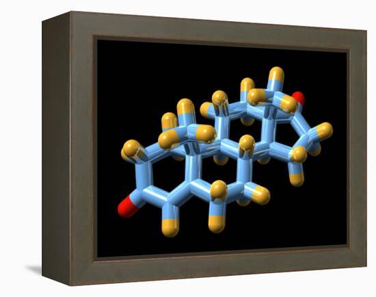 Androstenedione Hormone, Molecular Model-Dr. Mark J.-Framed Premier Image Canvas