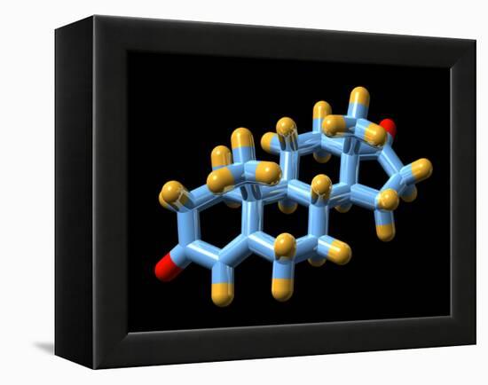 Androstenedione Hormone, Molecular Model-Dr. Mark J.-Framed Premier Image Canvas