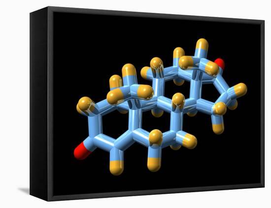 Androstenedione Hormone, Molecular Model-Dr. Mark J.-Framed Premier Image Canvas