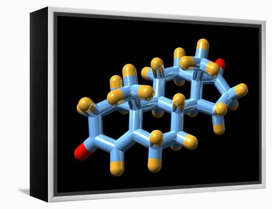 Androstenedione Hormone, Molecular Model-Dr. Mark J.-Framed Premier Image Canvas