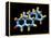 Androstenedione Hormone, Molecular Model-Dr. Mark J.-Framed Premier Image Canvas