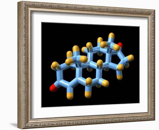 Androstenedione Hormone, Molecular Model-Dr. Mark J.-Framed Photographic Print