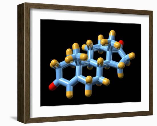 Androstenedione Hormone, Molecular Model-Dr. Mark J.-Framed Photographic Print