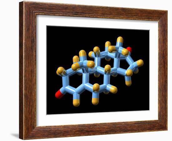 Androstenedione Hormone, Molecular Model-Dr. Mark J.-Framed Photographic Print