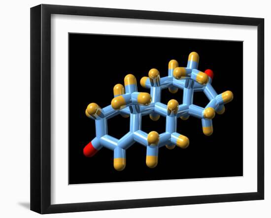 Androstenedione Hormone, Molecular Model-Dr. Mark J.-Framed Photographic Print