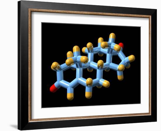 Androstenedione Hormone, Molecular Model-Dr. Mark J.-Framed Photographic Print