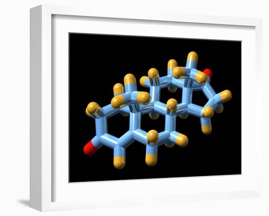 Androstenedione Hormone, Molecular Model-Dr. Mark J.-Framed Photographic Print