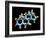 Androstenedione Hormone, Molecular Model-Dr. Mark J.-Framed Photographic Print