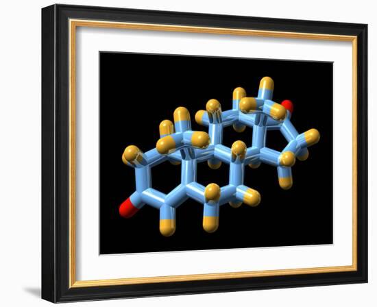 Androstenedione Hormone, Molecular Model-Dr. Mark J.-Framed Photographic Print