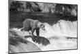 Photographic Print