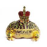 Frog Prince Wearing Crown-Andy and Clare Teare-Framed Premier Image Canvas