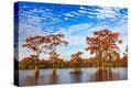 Stretched Canvas Print