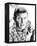 Andy Griffith - The Andy Griffith Show-null-Framed Stretched Canvas