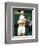 Andy Roddick-null-Framed Photo