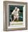 Andy Roddick-null-Framed Photo