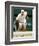 Andy Roddick-null-Framed Photo