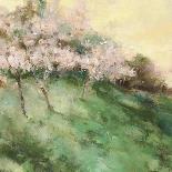 Gorgeous Orchard-Andy Waite-Giclee Print