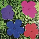 Flowers, C. 1964 (1 Purple, 1 Blue, 1 Pink, 1 Red)-Andy Warhol-Art Print