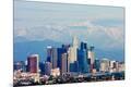 Premium Photographic Print