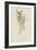 Âne-Charles Le Brun-Framed Giclee Print