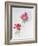 Anemone, 1998-Izabella Godlewska de Aranda-Framed Giclee Print