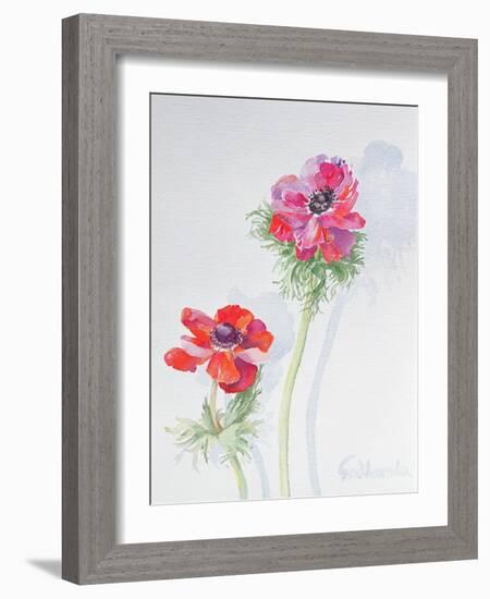 Anemone, 1998-Izabella Godlewska de Aranda-Framed Giclee Print