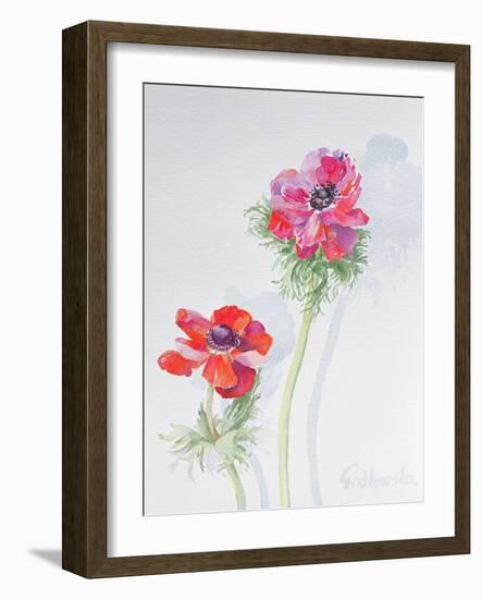 Anemone, 1998-Izabella Godlewska de Aranda-Framed Giclee Print