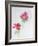 Anemone, 1998-Izabella Godlewska de Aranda-Framed Giclee Print