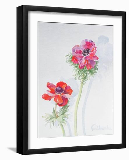 Anemone, 1998-Izabella Godlewska de Aranda-Framed Giclee Print