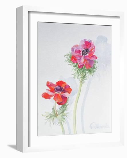 Anemone, 1998-Izabella Godlewska de Aranda-Framed Giclee Print