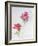 Anemone, 1998-Izabella Godlewska de Aranda-Framed Giclee Print